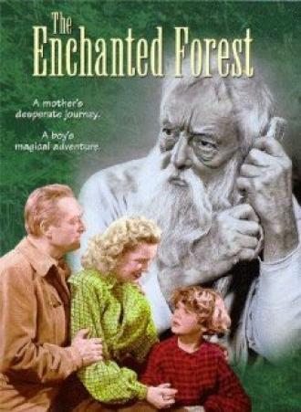 The Enchanted Forest (фильм 1945)
