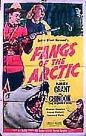 Fangs of the Arctic (фильм 1953)