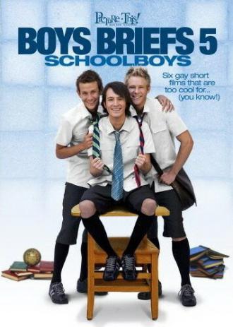 Коротко о парнях 5 (фильм 2008)