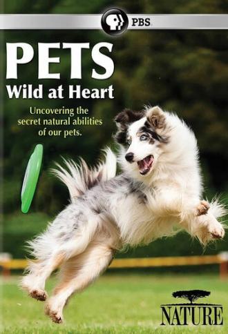 Pets: Wild at Heart