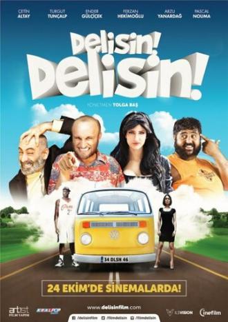Delisin Delisin (фильм 2014)