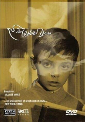 The White Dove (фильм 1920)
