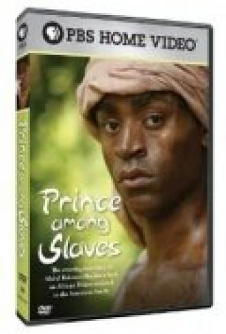 Prince Among Slaves (фильм 2007)