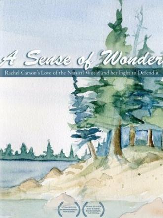 A Sense of Wonder (фильм 2008)
