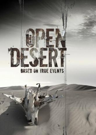 Бескрайняя пустыня (фильм 2013)