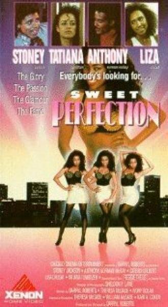 The Perfect Model (фильм 1988)