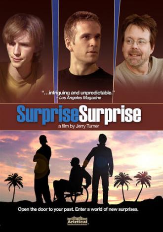 Сюрприз, сюрприз (фильм 2010)