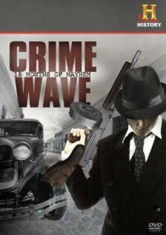 Crime Wave: 18 Months of Mayhem (фильм 2008)