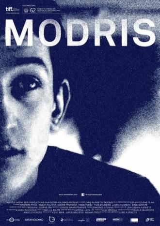 Модрис (фильм 2014)