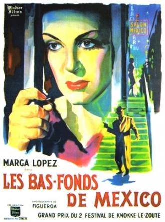 Салон Мехико (фильм 1949)