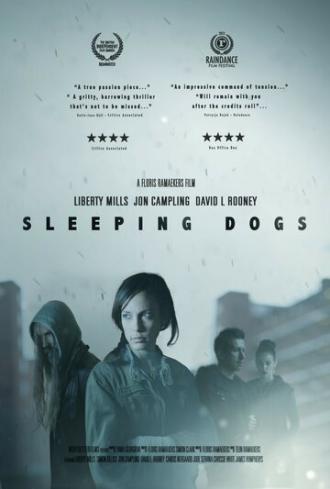 Sleeping Dogs (фильм 2013)