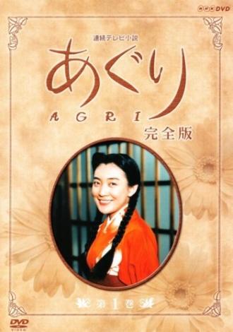 Агури (сериал 1997)
