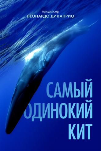 The Loneliest Whale: The Search for 52 (фильм 2021)