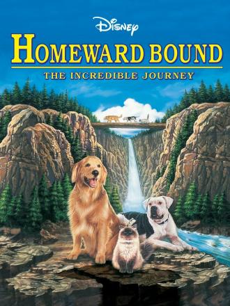Дорога домой: Невероятное путешествие (фильм 1993)