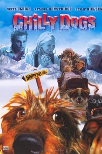 Снежный гонщик (фильм 2001)