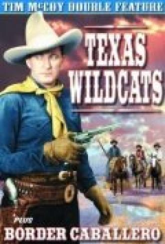 Texas Wildcats (фильм 1939)