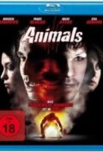Animals (фильм 2003)
