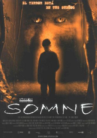 Somne (фильм 2005)