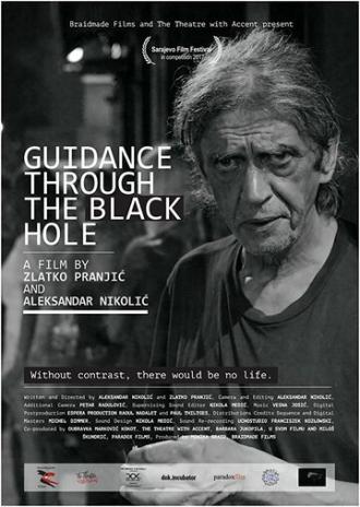 Guidance through the Black Hole (фильм 2017)