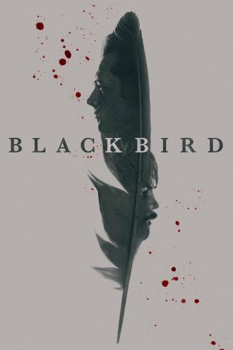 Чёрная птица (сериал 2022)