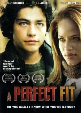 Идеальный вариант (фильм 2005)
