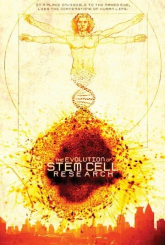 Эволюция исследований стволовых клеток