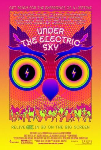 EDC 2013: Under the Electric Sky (фильм 2014)