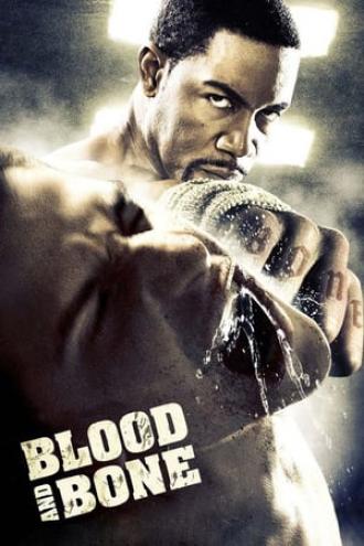Кровь и кость (фильм 2009)