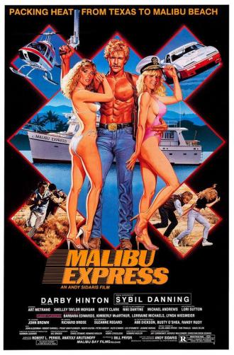 Малибу-экспресс (фильм 1985)