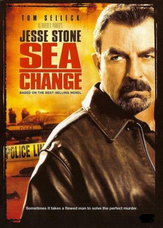 Джесси Стоун: Резкое изменение (фильм 2006)