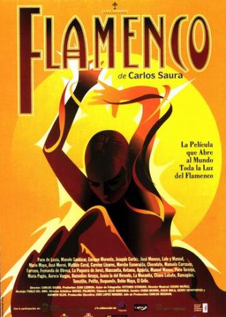 Фламенко (фильм 1995)
