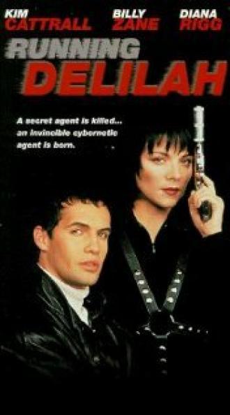 Специальный агент Дилайла (фильм 1993)
