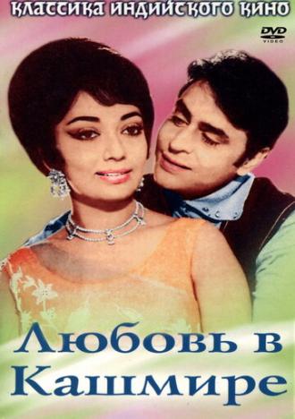 Любовь в Кашмире (фильм 1969)
