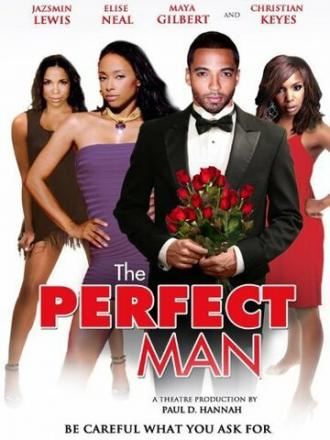 The Perfect Man (фильм 2011)