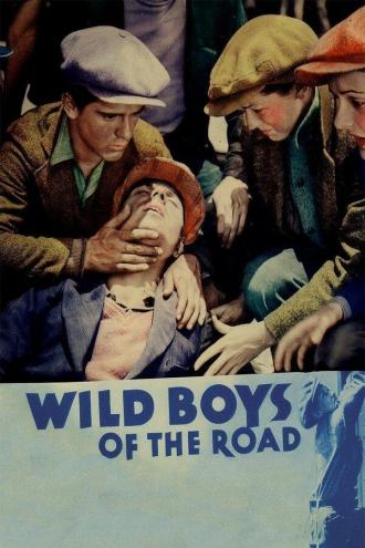 Дикие парни с дороги (фильм 1933)