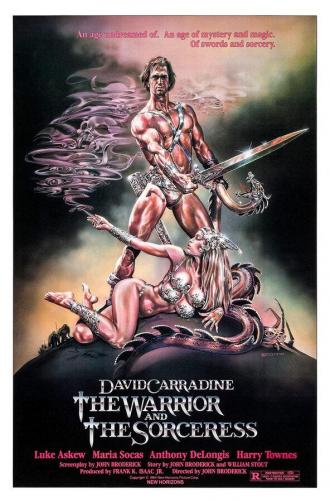 Воин и колдунья (фильм 1984)