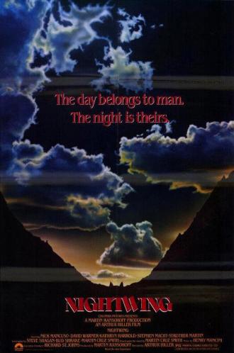 Ночное крыло (фильм 1979)
