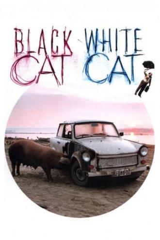 Черная кошка, белый кот (фильм 1998)