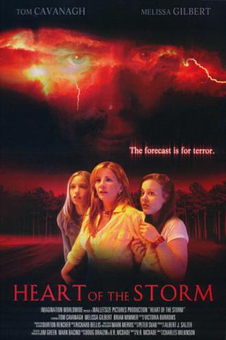 Страшнее шторма (фильм 2004)