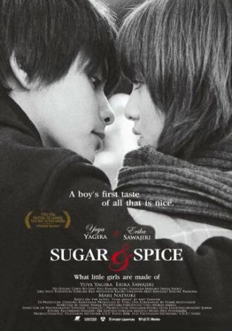 Сахар и перец (фильм 2006)