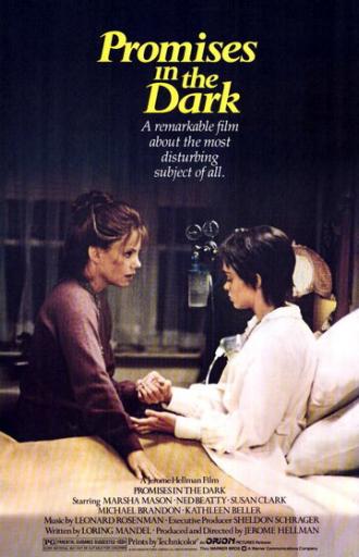 Обещания в темноте (фильм 1979)