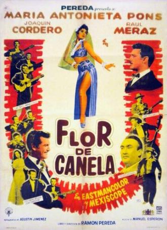 Flor de canela (фильм 1959)