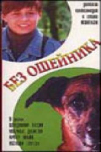 Без ошейника (фильм 1995)