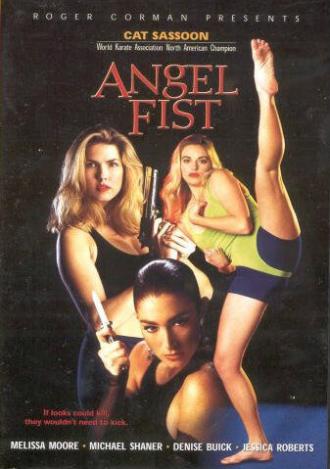 Кулак ангела (фильм 1993)
