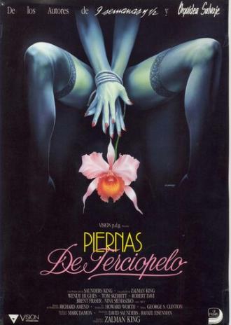 Дикая орхидея 2: Два оттенка грусти (фильм 1991)