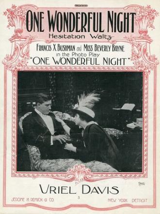 Одна чудесная ночь (фильм 1922)