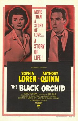 Черная орхидея (фильм 1958)