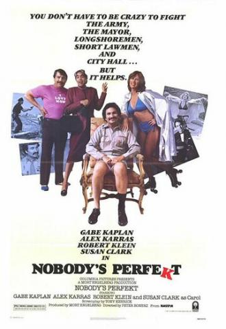 Никто не идеален (фильм 1981)