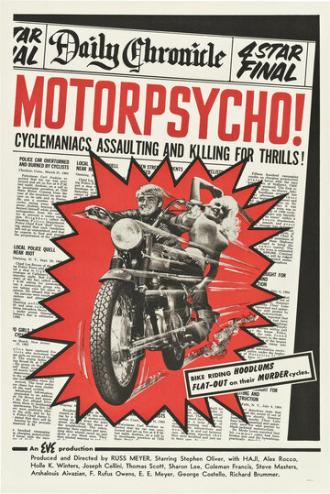Безумные мотоциклисты (фильм 1965)