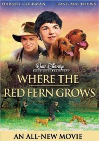 Цветок красного папоротника (фильм 2003)
